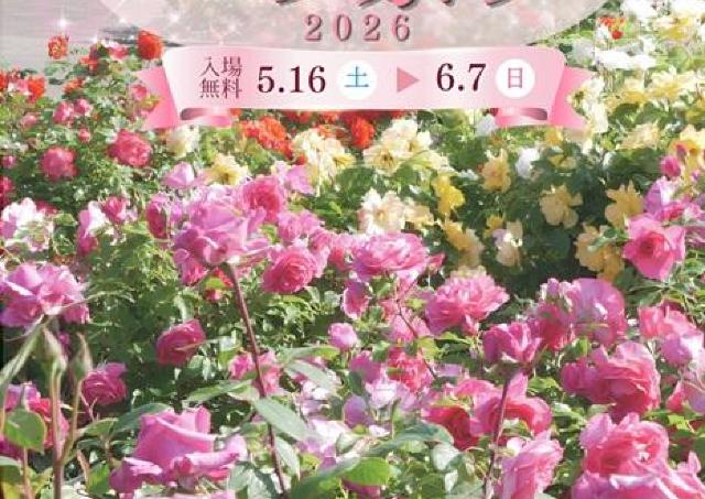 バラの香りに癒されて...みどりの杜のバラ祭り