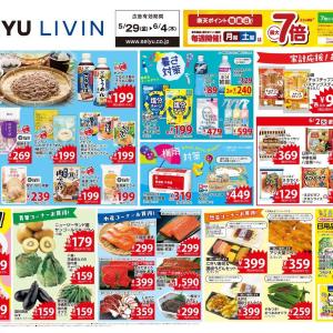 【西友の最新チラシ】週末ごはんにぴったりのそうめんなどがお買い得。夏にうれしいドリンク＆惣菜も見逃せない《6月4日まで》