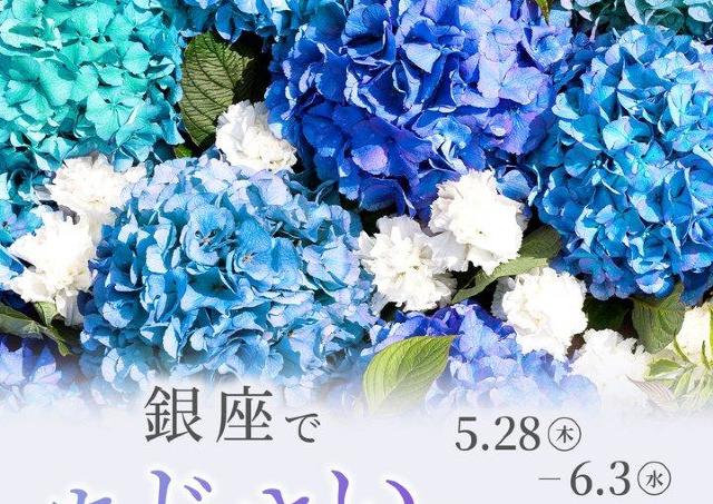 ドリンク配布に無料の肌測定も。ファンケル銀座スクエア、今年の夏は青のあじさい一色に。《6月3日まで》