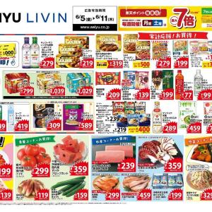 【西友の最新チラシ】キッコーマン生醤油やマルちゃん焼そばがお買い得！ストックしたい夏向け調味料も必見《6月11日まで》