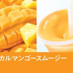 【セブン】23日からトロピカルマンゴースムージーが登場！アプリで100円引きクーポンがもらえるキャンペーンも。