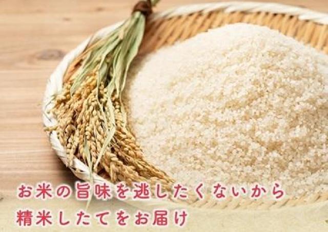 令和7年産「あきたこまち」が10kg・6130円に！500円引きクーポンが使える今がお得。《26日1時59分まで》