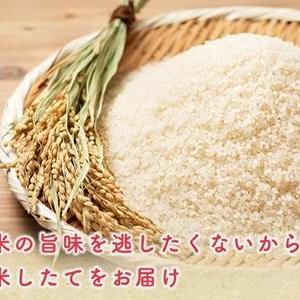 令和7年産「あきたこまち」が10kg・6130円に！500円引きクーポンが使える今がお得。《26日1時59分まで》