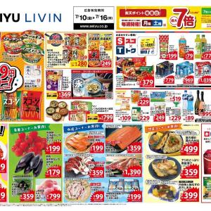 【西友の最新チラシ】湖池屋スコーン106円、モナ王の箱が312円！お買い得品をチェック《7月16日まで》