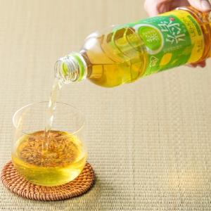 アイリスオーヤマがお茶を無料配布！恵比寿＆新宿勤務の人はチャンス《7月17日まで》