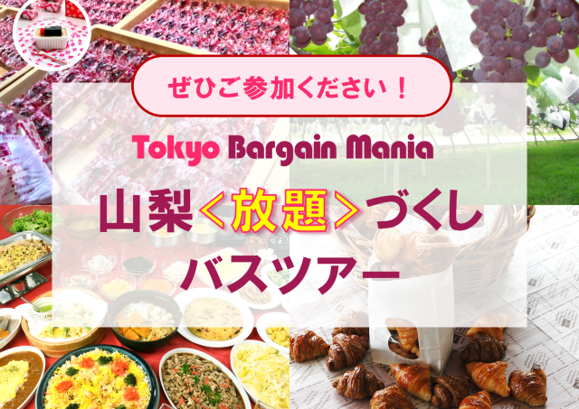 【1万円で大満足】信玄餅・クロワッサン詰め放題！ぶどう狩りにランチ食べ放題も...