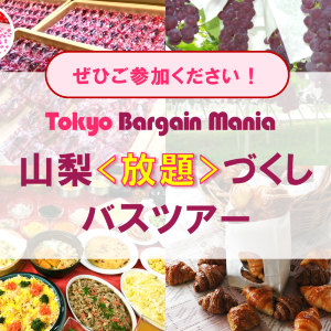【1万円で大満足】信玄餅・クロワッサン詰め放題！ぶどう狩りにランチ食べ放題も...