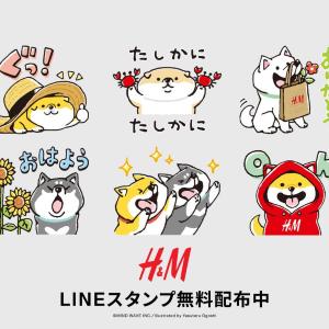 H&Mの公式LINEで限定コラボスタンプ＆15％オフクーポンを配信中。友だち追加でゲットできるよ～。