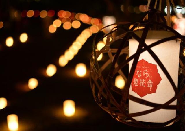 奈良の夏の風物詩。古都がやさしい灯りに包まれる「なら燈花会」
