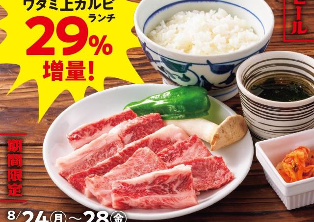 【焼肉の和民】値段そのままでお肉29％増量！「ワタミ上カルビランチ」が平日限定でお得に《8月28日まで》