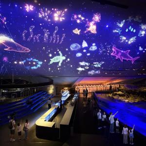 すみだ水族館、今なら中学生以下＆グループ入場がオトク。入場料金が割引になる特別チケットは9月24日まで販売。