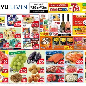 【西友の最新チラシ】マルちゃん焼そば、ニチレイの冷凍炒飯などがお買い得。徳用サイズの日用品にも注目《9月3日まで》