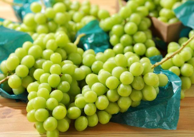 秋のスイパラ食べ放題が豪華！シャインマスカット、芋栗スイーツに、新米「はえぬき」も♡