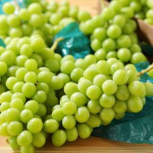 秋のスイパラ食べ放題が豪華！シャインマスカット、芋栗スイーツに、新米「はえぬき」も♡